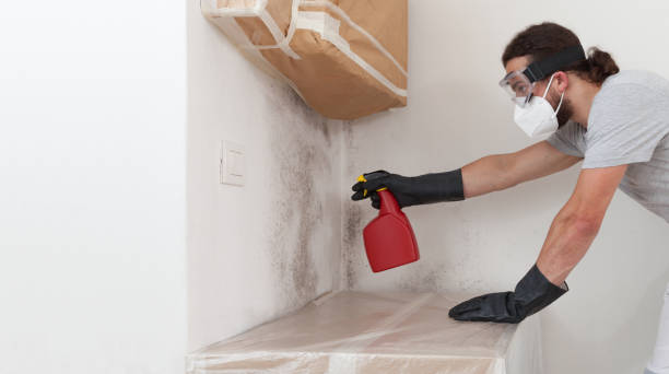 Professional Mold Testing technician working in Fennville, MI